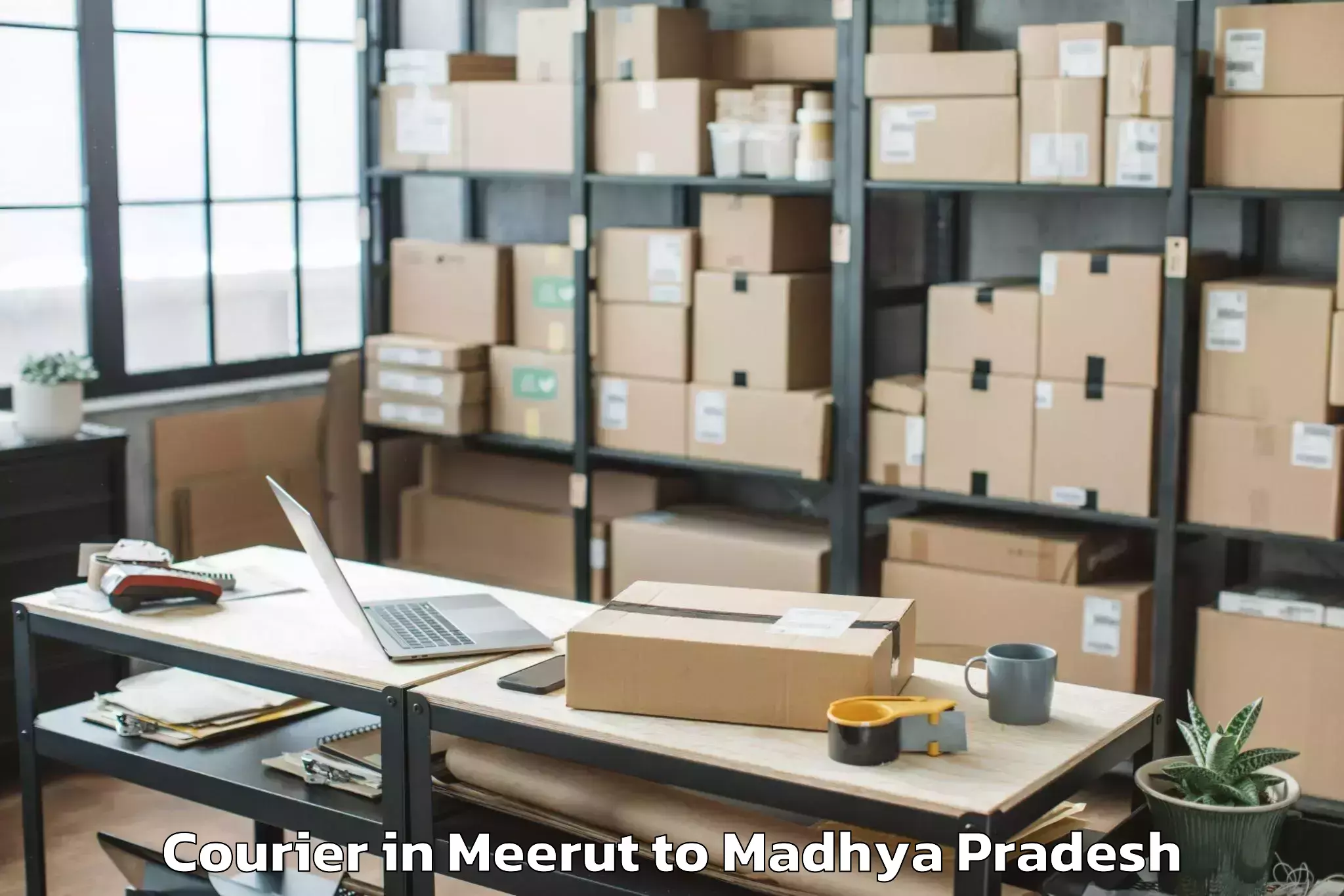 Reliable Meerut to Guna Airport Gux Courier